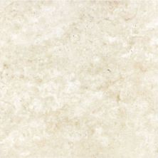 Anatolia Ivory Travertine Straight Edge & Brushed 5000-0099-0
