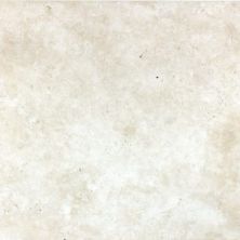 Anatolia Ivory Travertine Straight Edge & Brushed 5000-0100-0