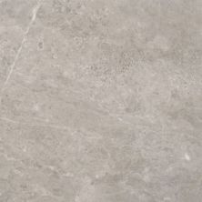 Anatolia Ritz Gray Polished 5000-0168-0