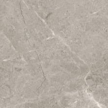 Anatolia Ritz Gray 5000-0170-0