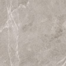 Anatolia Ritz Gray 5000-0172-0