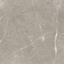 Anatolia Ritz Gray 5000-0175-0