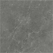 Anatolia Stark Carbon 5000-0267-0