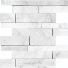Anatolia Bianco Venatino Strip Polished 5001-0029-0