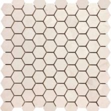 Anatolia Serene Ivory Hexagon Polished 5001-0131-0