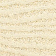 Masland Carpets & Rugs Costa Dewdrop 5991-24283