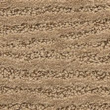 Masland Carpets & Rugs Costa Durango 5991-34294