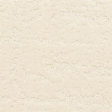 Masland Carpets & Rugs Classic Demeanor Grecian 6062-12241