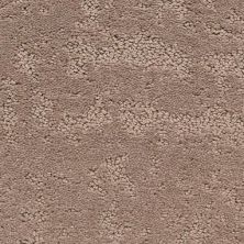 Masland Carpets & Rugs Classic Demeanor Mountain Stone 6062-32319