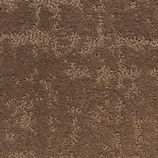 Masland Carpets & Rugs Classic Demeanor Brevity 6062-72243