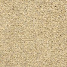 Masland Carpets & Rugs Color Festival Sand Storm 6866-20220