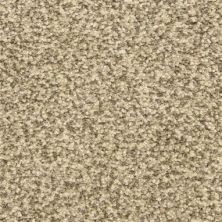 Masland Carpets & Rugs Color Festival Gray Scale 6866-80725