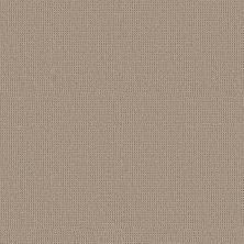 Perfect Home Style Statements Beyond Beauty Sandstorm 712CP-175