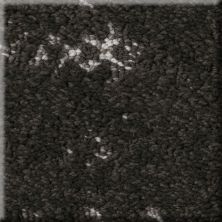 Perfect Home Chic Creations Charcoals 7P0ST-505