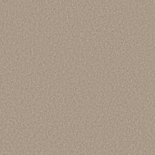 Perfect Home Daring Move Sheer Beige 7P0VC-144