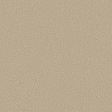 Perfect Home Daring Move Plus Moonlit Night 7P0VD-152