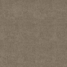 Perfect Home Daring Move Plus Golden Tint 7P0VD-230