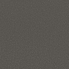 Perfect Home Daring Move Plus Charcoal 7P0VD-555