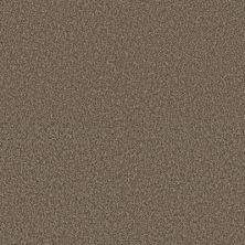 Perfect Home Daring Move Plus Hay Seed 7P0VD-740