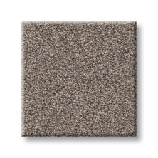 Perfect Home Refined Radiance II Newstar 7P1BT-230