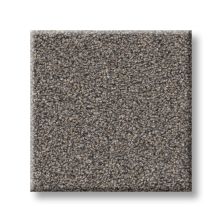 Perfect Home Refined Radiance II Baltic Brown 7P1BT-733