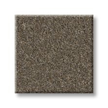 Perfect Home Refined Radiance II Tweed 7P1BT-734