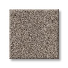 Perfect Home Refined Radiance II Mocha 7P1BT-735