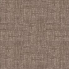 Next Floor Invincible II 851 Tortoise NF-851-107