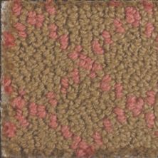 Masland Carpets & Rugs Charmant Canyon Rose 9214-251