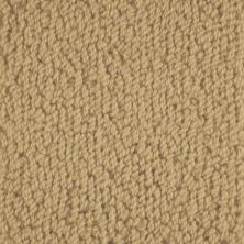 Masland Carpets & Rugs Novellino Wheat 9215-374