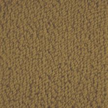 Masland Carpets & Rugs Novellino Bronze 9215-393