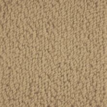 Masland Carpets & Rugs Novellino Toffee 9215-527