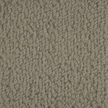 Masland Carpets & Rugs Novellino Deep Taupe 9215-617