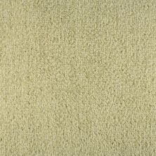 Masland Carpets & Rugs Bellini Avorio 9221-65