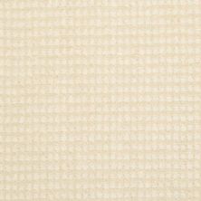 Masland Carpets & Rugs Classique Neutrino 9272-111