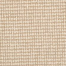 Masland Carpets & Rugs Classique Perfect Taupe 9272-232