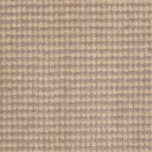 Masland Carpets & Rugs Classique Cashmere 9272-882