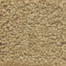 Masland Carpets & Rugs Americana Cliffrose 9439-310