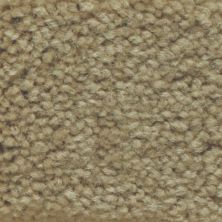 Masland Carpets & Rugs Americana Coyote 9439-510