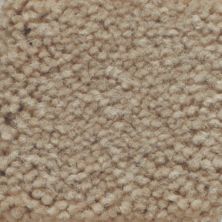 Masland Carpets & Rugs Americana Sonora 9439-518
