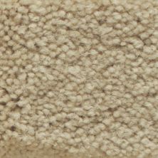 Masland Carpets & Rugs Americana Buttercup 9439-521