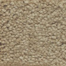 Masland Carpets & Rugs Americana Amaretto 9439-535
