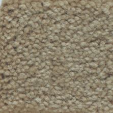 Masland Carpets & Rugs Americana Stream bed 9439-601