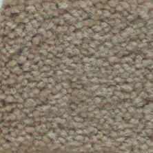Masland Carpets & Rugs Americana Breckenridge 9439-629