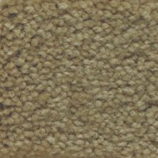 Masland Carpets & Rugs Americana Mt. St. Helens 9439-632