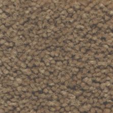 Masland Carpets & Rugs Americana Bighorn 9439-646