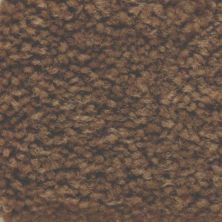 Masland Carpets & Rugs Americana Plateau 9439-659