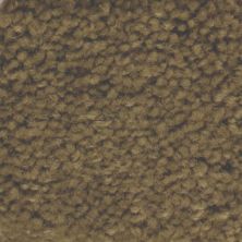 Masland Carpets & Rugs Americana Otter 9439-662