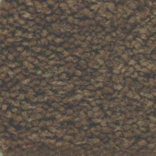 Masland Carpets & Rugs Americana Burro 9439-667