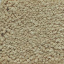 Masland Carpets & Rugs Americana Yukon 9439-706